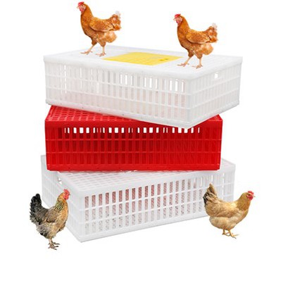 プラスチック製鶏肉輸送箱 長さ35インチX 幅23.5インチX 幅10.25インチ