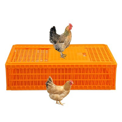 98cmプラスチック製チキン輸送ボックス