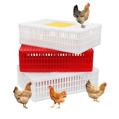 生きた家禽用のプラスチック輸送用木箱